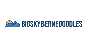 bigskybernedoodles.com logo
