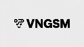 vngsm.com logo